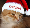 katoga